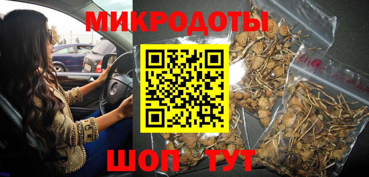 Галлюциногенные грибы Psilocybine cubensis  Вход с VPN  Видное 