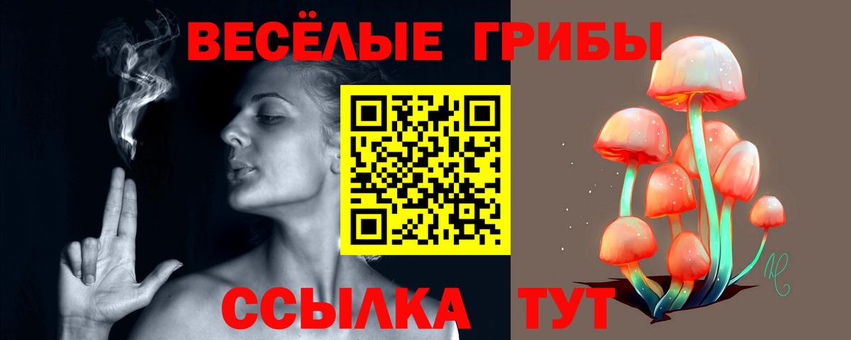 Галлюциногенные грибы Magic Shrooms Видное