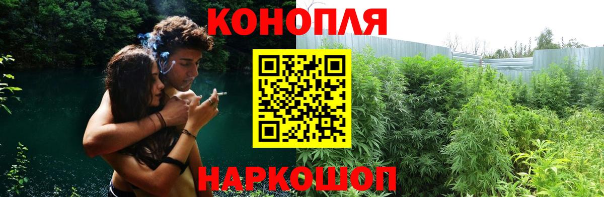 Конопля гибрид Видное